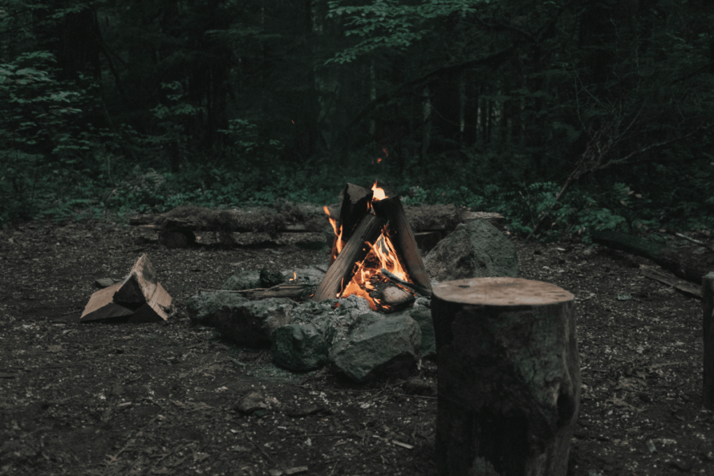 a photo of a bushcraft camp site in the woods with a camp fire and wood stump for use as a chair