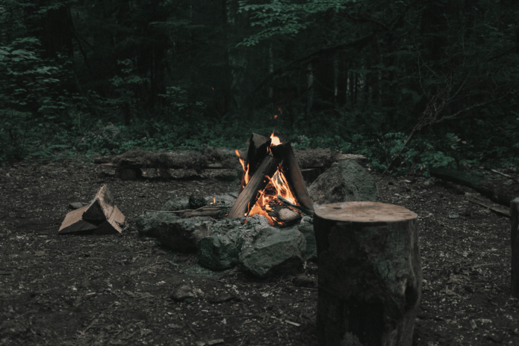 Bushcraft and survival - how do they differ in 2020?