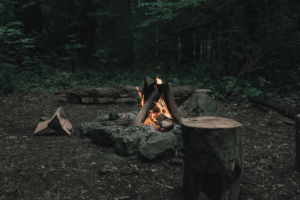 What is Bushcraft (and how is it different from Survival)?