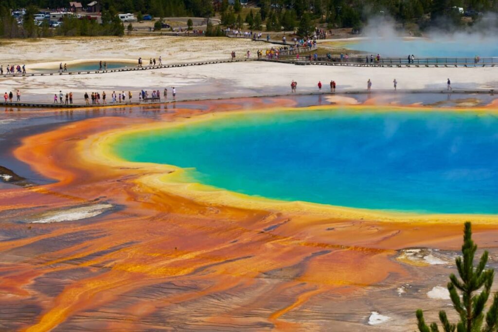 a photo of prismatic spring at Yellowstone National Par
